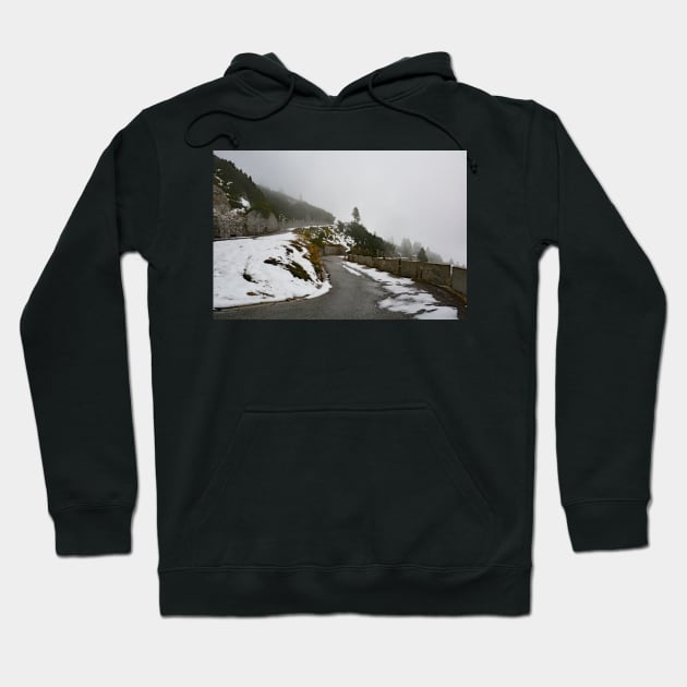 Autumn on the Slopes of Mangrt Hoodie by jojobob